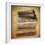 Chapter and Verse-Jessica Jenney-Framed Premium Giclee Print