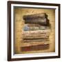 Chapter and Verse-Jessica Jenney-Framed Giclee Print