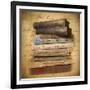 Chapter and Verse-Jessica Jenney-Framed Giclee Print