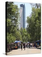 Chapultepec Park (Bosque De Chapultepec), Chapultepec, Mexico City, Mexico, North America-Wendy Connett-Stretched Canvas