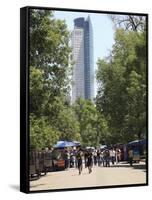 Chapultepec Park (Bosque De Chapultepec), Chapultepec, Mexico City, Mexico, North America-Wendy Connett-Framed Stretched Canvas