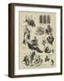 Character Sketches in the House of Commons During the Debate on the Vote of Censure-Sydney Prior Hall-Framed Giclee Print