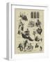 Character Sketches in the House of Commons During the Debate on the Vote of Censure-Sydney Prior Hall-Framed Giclee Print