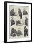 Character Sketches in the Law Courts-null-Framed Giclee Print