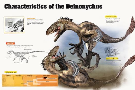 Deinonychus Wall Art, Canvas Prints, Framed Prints, Wall Peels