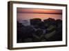 Characterization-Eye Of The Mind Photography-Framed Photographic Print