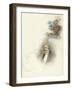 Characters at Savoy Dinner-Dudley Hardy-Framed Giclee Print