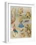 Characters from 'Alice in Wonderland' (Colour Engraving)-John Tenniel-Framed Giclee Print