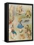 Characters from 'Alice in Wonderland' (Colour Engraving)-John Tenniel-Framed Stretched Canvas