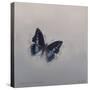 Charaxes imperialis 1, 2014-Odile Kidd-Stretched Canvas