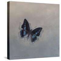 Charaxes imperialis 1, 2014-Odile Kidd-Stretched Canvas