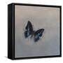 Charaxes imperialis 1, 2014-Odile Kidd-Framed Stretched Canvas