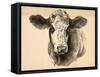 Charcoal Cow I-Jennifer Parker-Framed Stretched Canvas