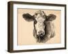 Charcoal Cow I-Jennifer Parker-Framed Art Print