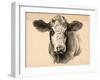 Charcoal Cow I-Jennifer Parker-Framed Art Print