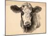 Charcoal Cow I-Jennifer Parker-Mounted Art Print