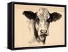 Charcoal Cow II-Jennifer Parker-Framed Stretched Canvas