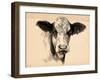 Charcoal Cow II-Jennifer Parker-Framed Art Print