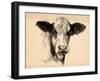 Charcoal Cow II-Jennifer Parker-Framed Art Print