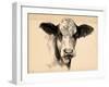 Charcoal Cow II-Jennifer Parker-Framed Art Print