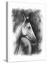 Charcoal Equestrian Portrait I-Naomi McCavitt-Stretched Canvas