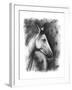 Charcoal Equestrian Portrait I-Naomi McCavitt-Framed Art Print