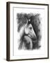 Charcoal Equestrian Portrait I-Naomi McCavitt-Framed Art Print