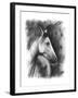 Charcoal Equestrian Portrait I-Naomi McCavitt-Framed Art Print