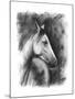 Charcoal Equestrian Portrait I-Naomi McCavitt-Mounted Art Print