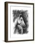 Charcoal Equestrian Portrait I-Naomi McCavitt-Framed Art Print