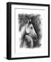 Charcoal Equestrian Portrait I-Naomi McCavitt-Framed Art Print