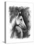 Charcoal Equestrian Portrait I-Naomi McCavitt-Stretched Canvas