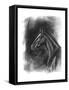 Charcoal Equestrian Portrait II-Naomi McCavitt-Framed Stretched Canvas