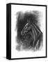 Charcoal Equestrian Portrait II-Naomi McCavitt-Framed Stretched Canvas