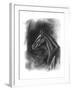 Charcoal Equestrian Portrait II-Naomi McCavitt-Framed Art Print