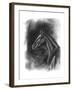 Charcoal Equestrian Portrait II-Naomi McCavitt-Framed Art Print