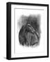 Charcoal Equestrian Portrait III-Naomi McCavitt-Framed Art Print