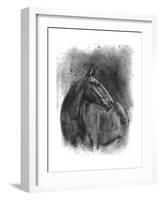 Charcoal Equestrian Portrait III-Naomi McCavitt-Framed Art Print