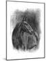 Charcoal Equestrian Portrait III-Naomi McCavitt-Mounted Art Print