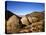 Charcoal Kilns Near Telescope Peak in the Panamint Mountains, Death Valley National Park, CA-Bernard Friel-Stretched Canvas