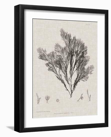 Charcoal & Linen Seaweed V-Henry Bradbury-Framed Art Print