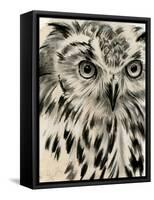 Charcoal Owl I-Jennifer Paxton Parker-Framed Stretched Canvas