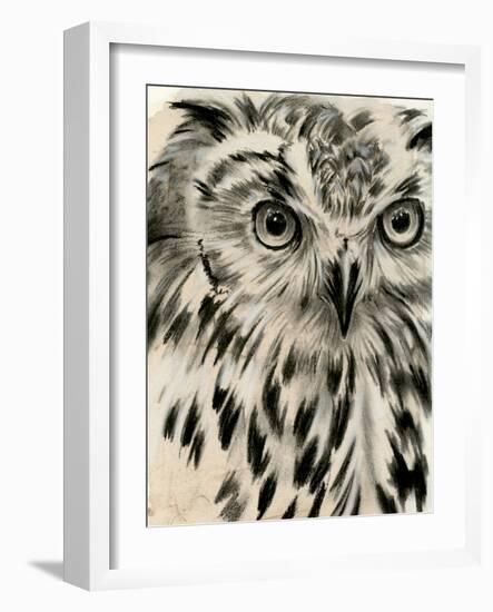 Charcoal Owl I-Jennifer Paxton Parker-Framed Art Print