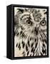 Charcoal Owl I-Jennifer Paxton Parker-Framed Stretched Canvas