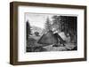 Charcoal Production, 19th Century-Science Photo Library-Framed Premium Photographic Print