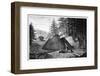 Charcoal Production, 19th Century-Science Photo Library-Framed Photographic Print