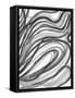 Charcoal Ripples 2-Smith Haynes-Framed Stretched Canvas