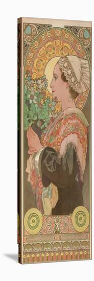 Chardon De Greves (Thistle), Ca. 1901-Alphonse Mucha-Stretched Canvas