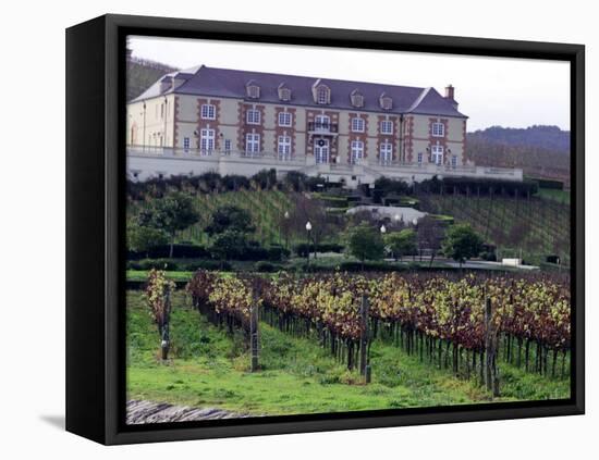 Chardonnay and Pinot Noir Grape Vineyards-Eric Risberg-Framed Stretched Canvas