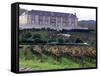 Chardonnay and Pinot Noir Grape Vineyards-Eric Risberg-Framed Stretched Canvas